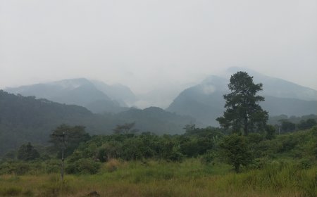 agro wisata konsep city light