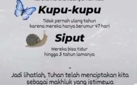 Pentingnya bersyukur sebagai manusia