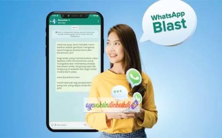 Cara menggunakan wa blast Japripay