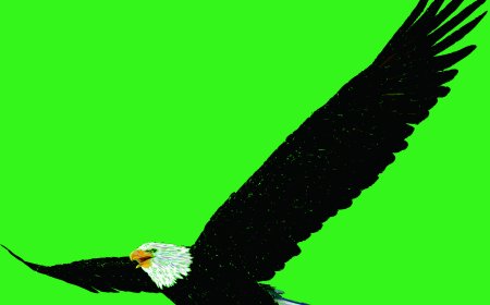 matalangit nusantara menjadi teman belajar anda dalam teka teki perkotaan