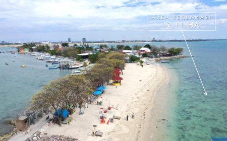 Selamatkan Pulau Lae-Lae dengan Rencana Reklamasi Berkelanjutan