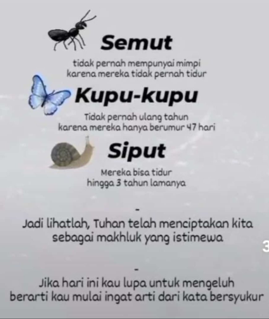 Pentingnya bersyukur sebagai manusia