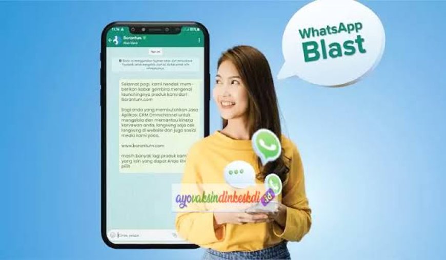 Cara menggunakan wa blast Japripay
