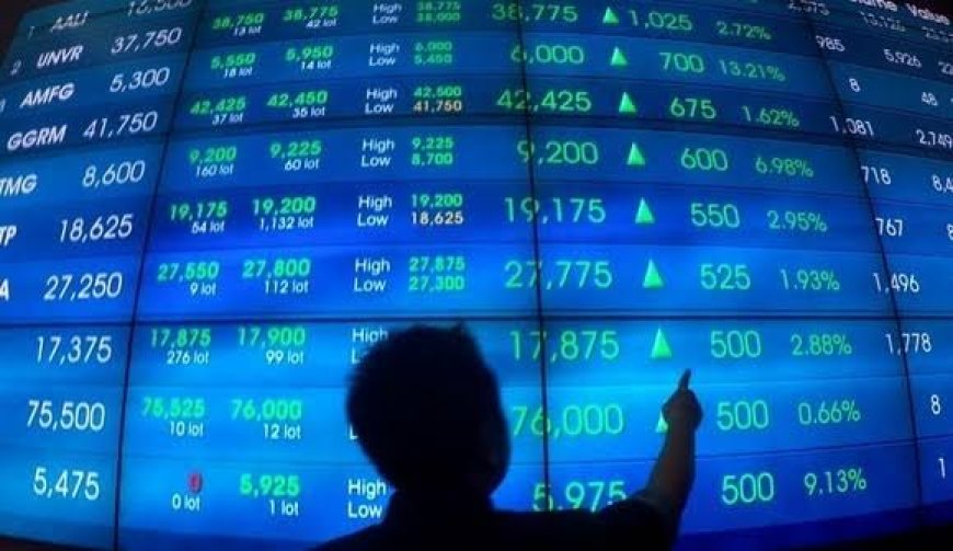 Saham Pra IPO Japripay, apa untungnya?