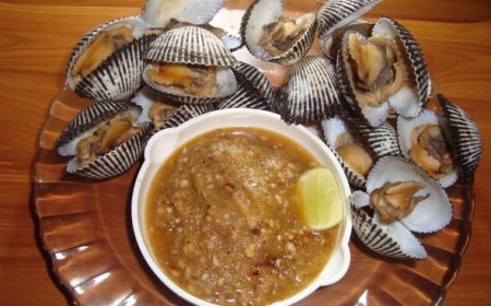 Kerang Saos Kacang