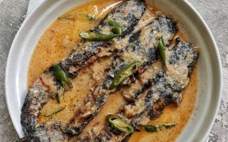 Lele Sambal Goreng Santan