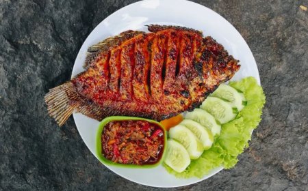 Ikan Kerapu Taliwang