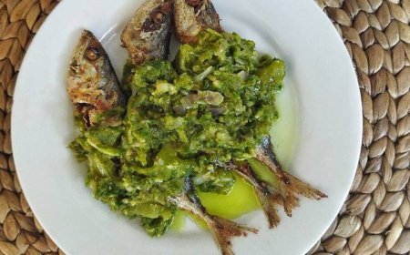 Ikan Kerapu Lado Ijo