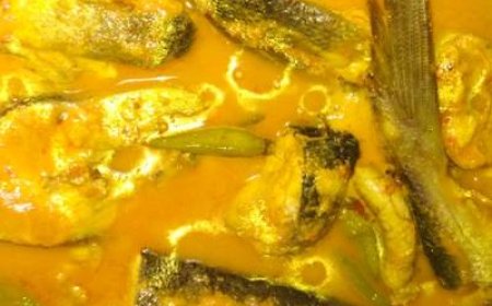 Ikan Salmon Gulai
