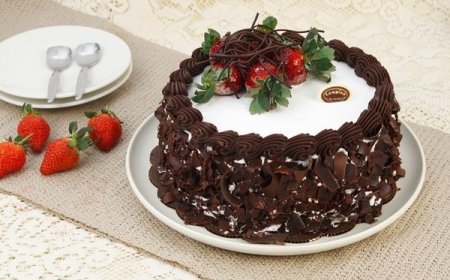 Black Forest Bolu Ice Cream Cake
