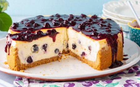 Blueberry Cheesecake
