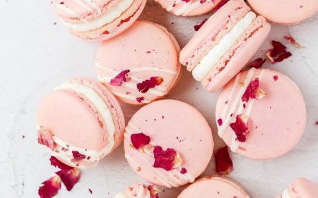 Macaron Rose