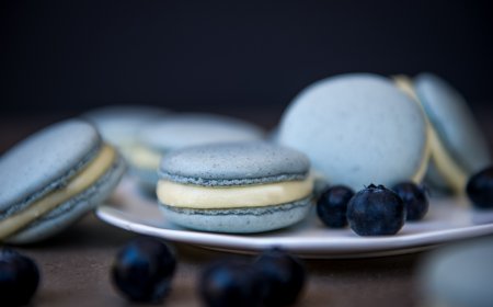 Macaron Blueberry Cheesecake