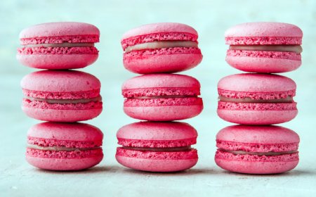 Macaron Plum