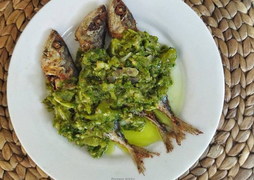 Ikan Kerapu Lado Ijo