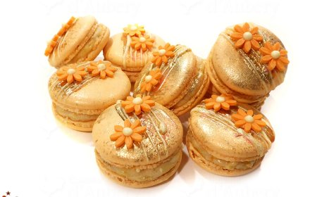Macaron Apricot