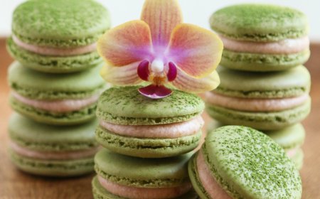Macaron Guava