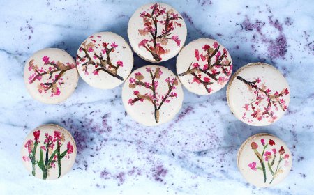 Macaron Cherry Blossom