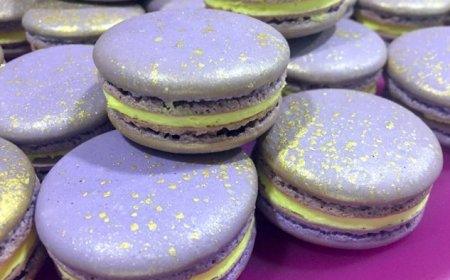 Macaron Elderflower