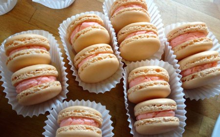 Macaron Grapefruit