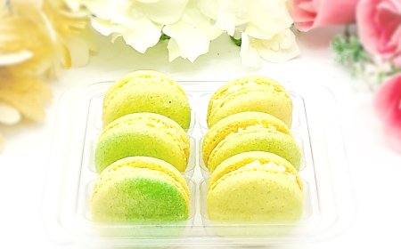 Macaron Jackfruit