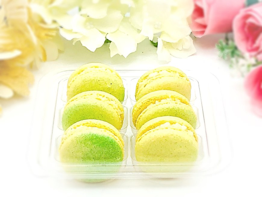 Macaron Jackfruit