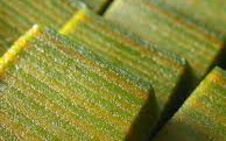 Kue Lapis Kacang Hijau