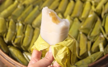 Nagasari Ketan Putih