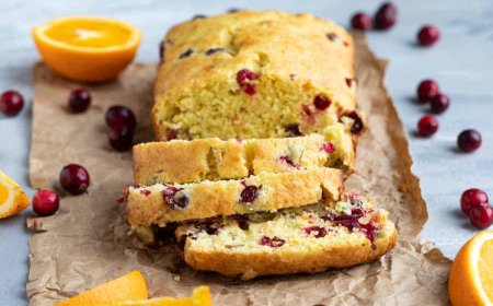 Bolu Kukus Cranberry Orange