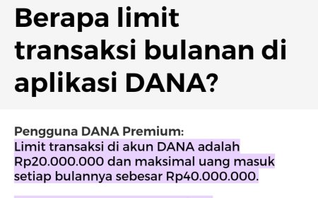 Mengapa Anda Transfer ke Nomor DANA Japri Pay an CEO Gagal Terus?